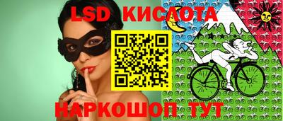 гашик Кандалакша