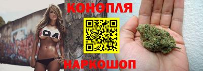 гашик Кандалакша