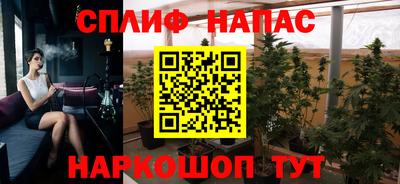 мяу мяу мука Балахна